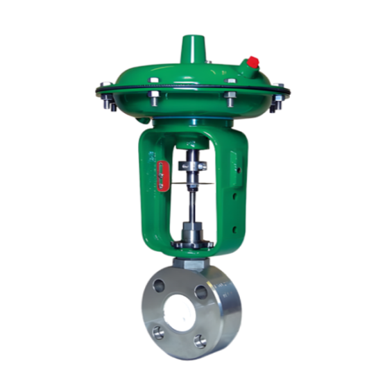 Baumann™ 26000 Corrosion-Resistant Control Valve